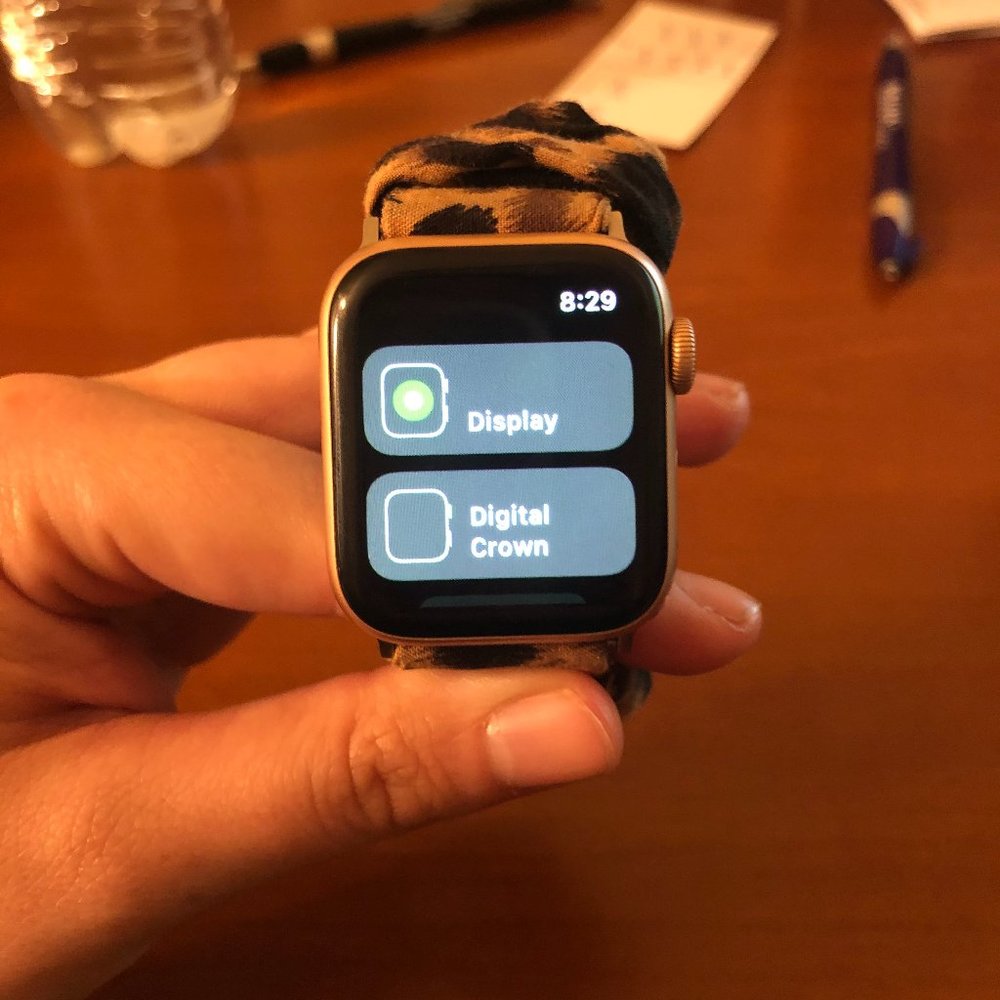 Apple Watch Series 4